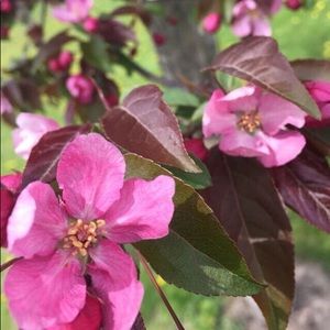 Meet your Posher, Liz